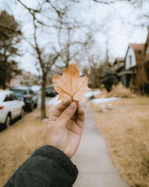 Image post by @m.eye.key on Instagram