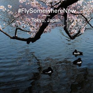 Image post by @cathaypacific on Instagram