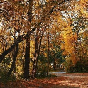 Image post by @fargoparks on Instagram