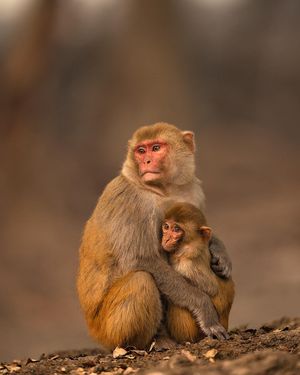 Image post by @discovery on Instagram