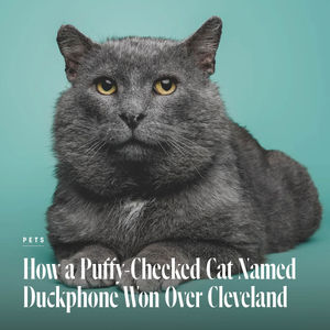 Image post by @clevelandmagazine on Instagram