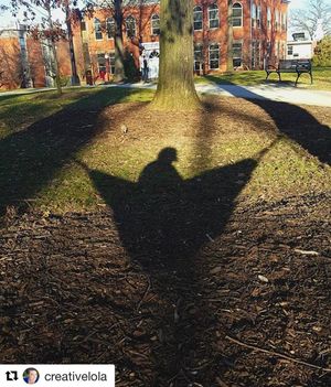 Image post by @iupedu on Instagram