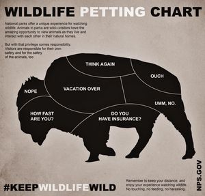 Image post by @nationalparkservice on Instagram