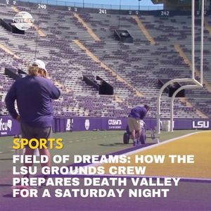 Image post by @lsutigertv on Instagram