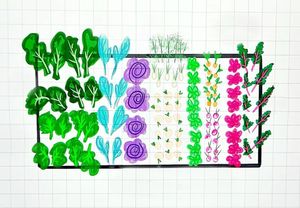 Image post by @bonnieplants on Instagram