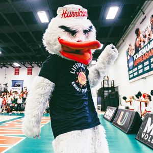 Image post by @um_sebastian on Instagram