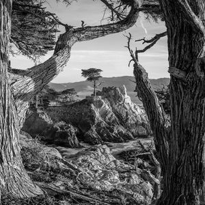 Image post by @pebblebeachresorts on Instagram