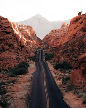 Image post by @camrongood on Instagram