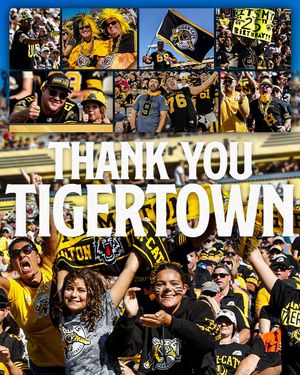Image post by @hamiltontigercats on Instagram