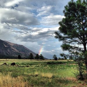 Image post by @nauflagstaff on Instagram