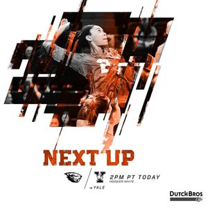 Image post by @beavervball on Instagram