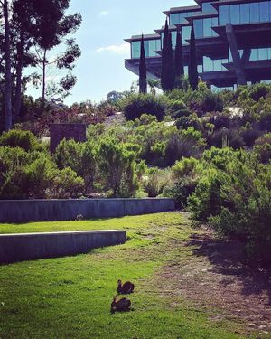 Image post by @ucsdadmissions on Instagram