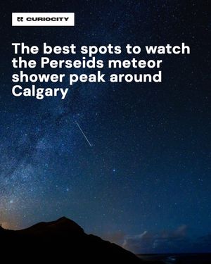 Image post by @curiocitycalgary on Instagram