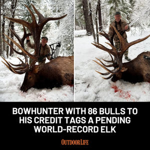 Image post by @outdoor_life on Instagram