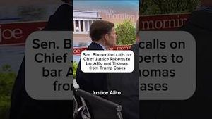 Video post by @msnbc on YouTube