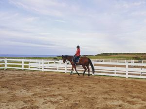 Image post by @performancesaddlefitssthsydney on Instagram