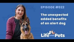Video post by @bluebuffalo on YouTube