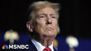 Video post by @msnbc on YouTube