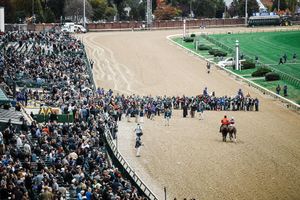 Image post by @spendthriftfarm on Instagram