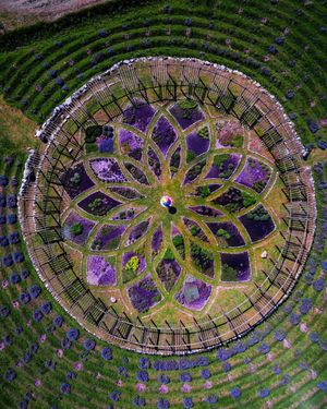 Image post by @dronepals on Instagram