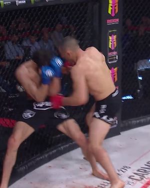 Image post by @bellatormma on Instagram