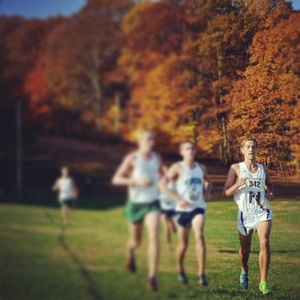 Image post by @hofstratrackxc on Instagram