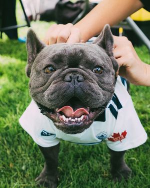 Image post by @whitecapsfc on Instagram