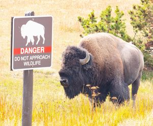Image post by @nationalparkservice on Instagram