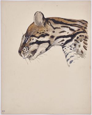 Image post by @drawingcenter on Instagram