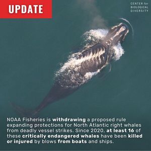Image post by @centerforbiodiv on Instagram