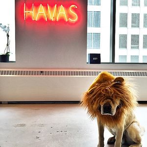 Image post by @havas on Instagram