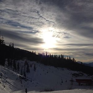 Image post by @finniles on Instagram