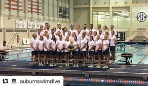Image post by @auburntigers on Instagram
