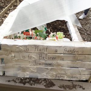 Image post by @kidsgardening on Instagram