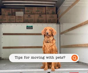 Image post by @uhaul on Instagram