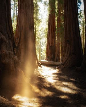 Image post by @nationalparkspartnership on Instagram