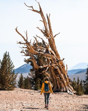 Image post by @squirrelmusttravel on Instagram