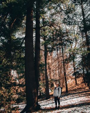 Image post by @ninamarie_creative on Instagram