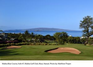 Image post by @cologolf on Instagram