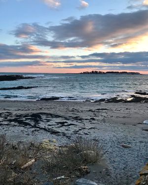 Image post by @themainemag on Instagram