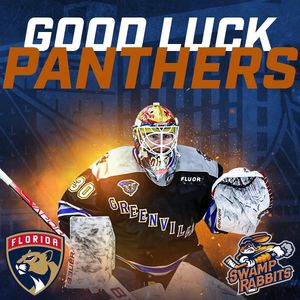 Image post by @swamprabbits on Instagram