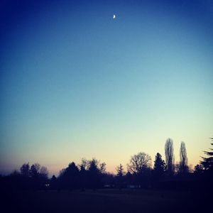 Image post by @dodomolinari on Instagram