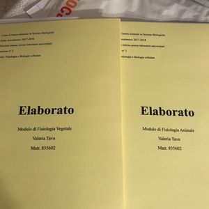 Image post by @alessandra_chiappa on Instagram