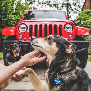 Image post by @jeep on Instagram