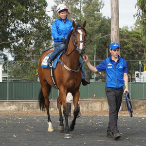 Image post by @australianturfclub on Instagram