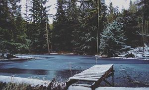 Image post by @tourismabbotsford on Instagram