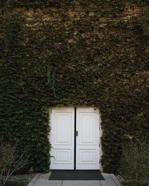 Image post by @zofeeagenota on Instagram