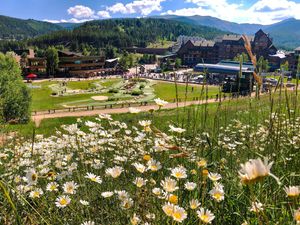 Image post by @winterparkresort on Instagram