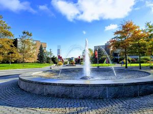 Image post by @stonybrooku on Instagram