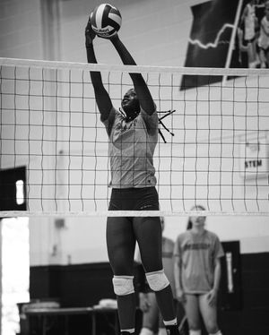 Image post by @hofstravb on Instagram